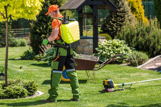 Lawn Pest Control in Westville, OK